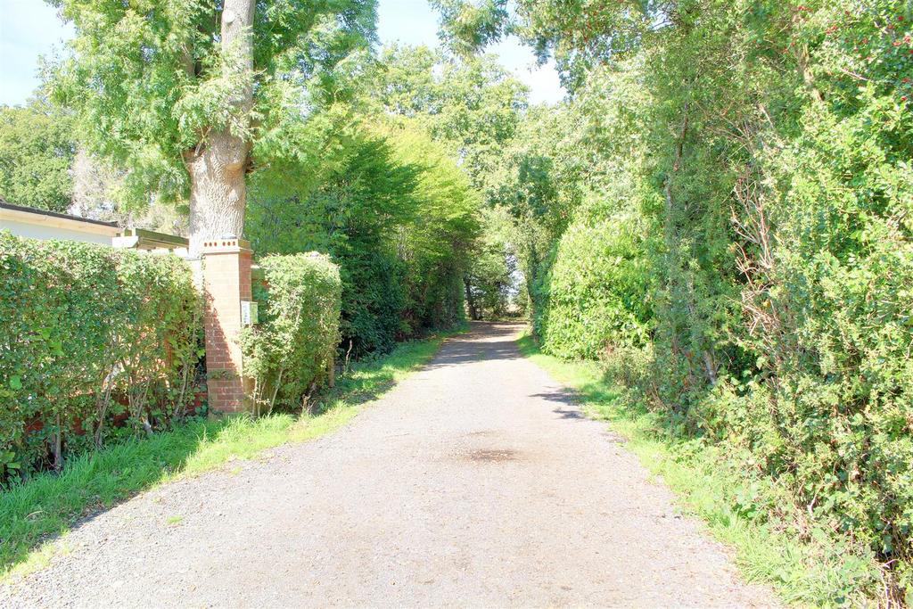 IMG 9130-IMG 9132.jpg