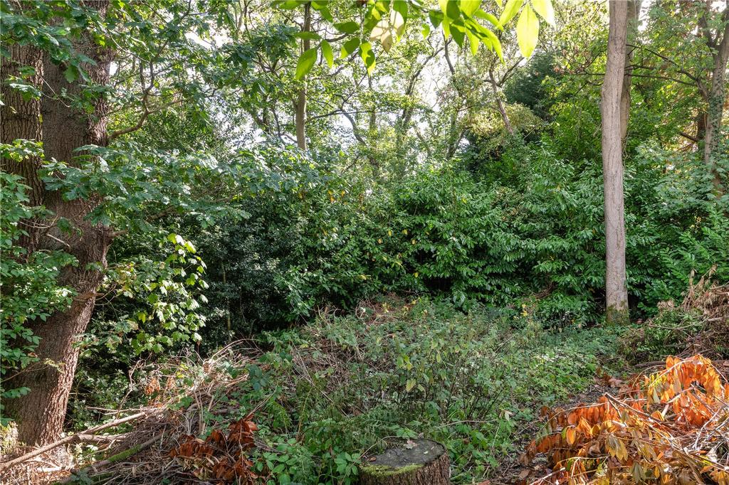 Woodland Garden