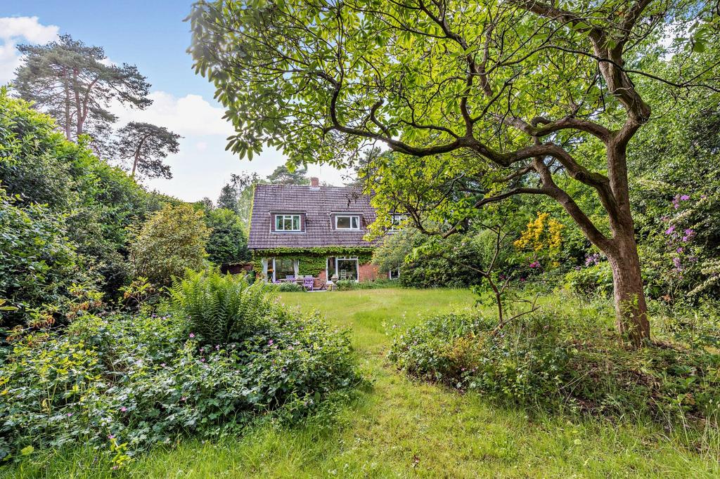 Rear Gardens