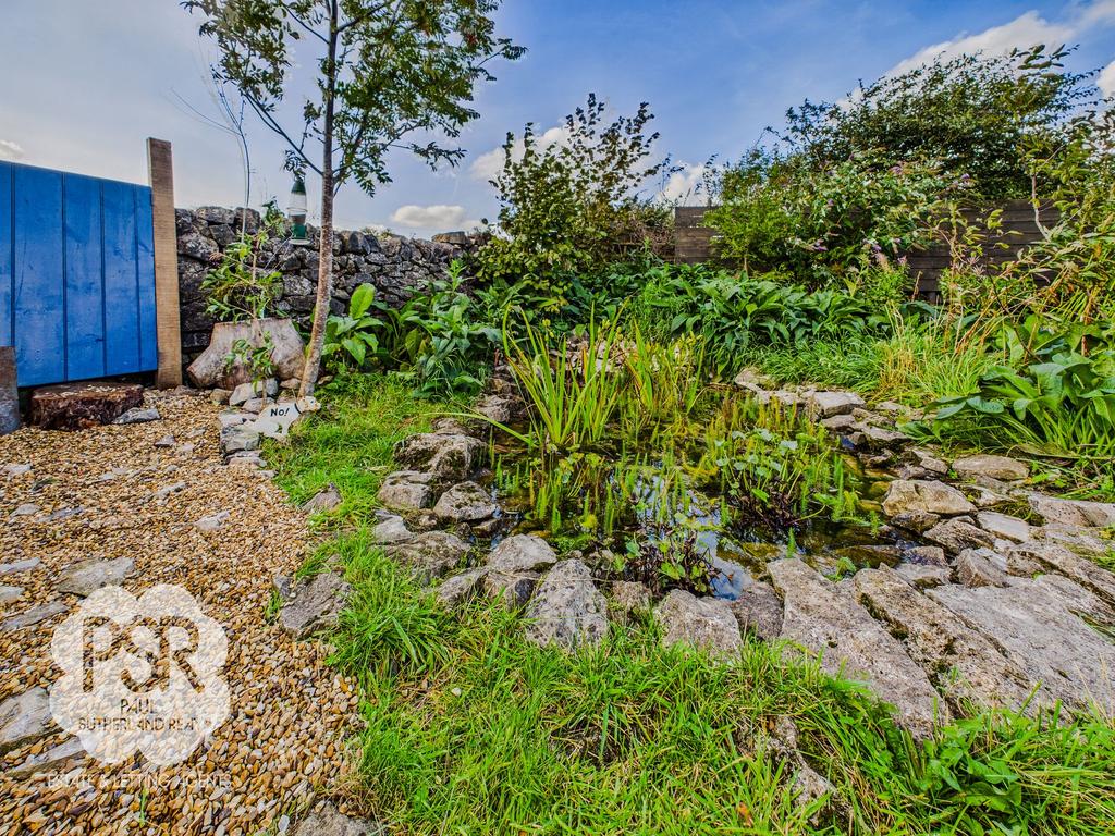 Rear Garden - Pond