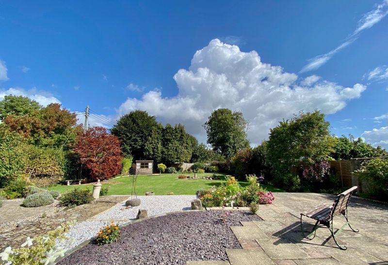 The Rear Garden