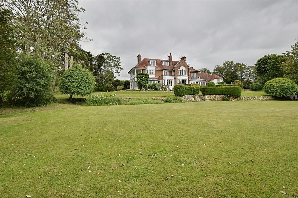 MXs Adi KZUUm6 Bq ECUzho YA.jpg