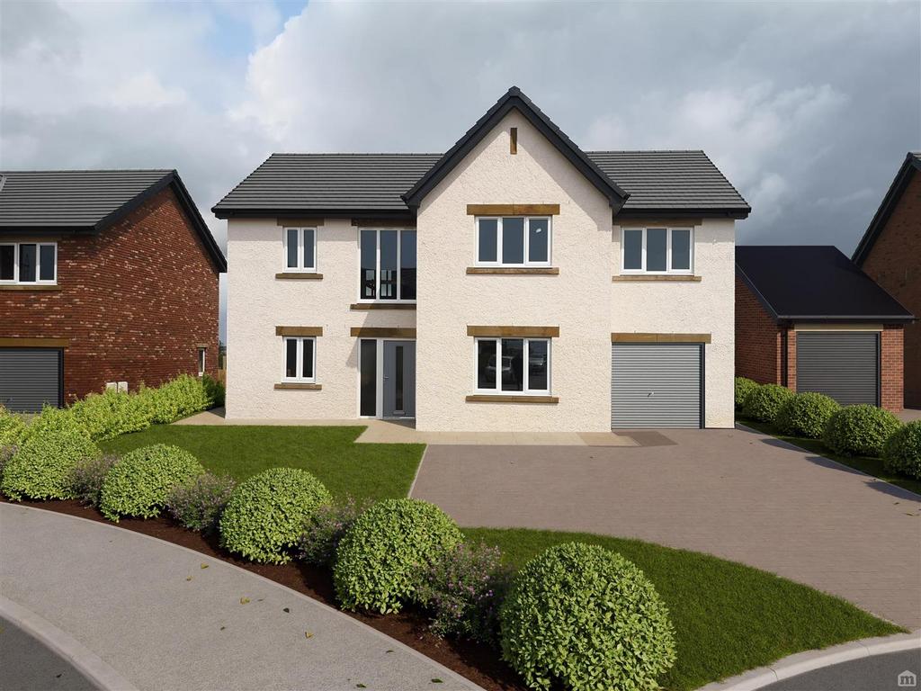 Front Plot 8