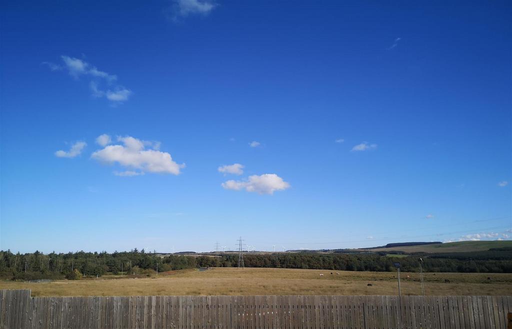 IMG 20250925 105851.jpg