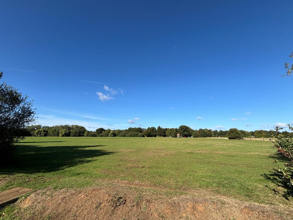 Field View