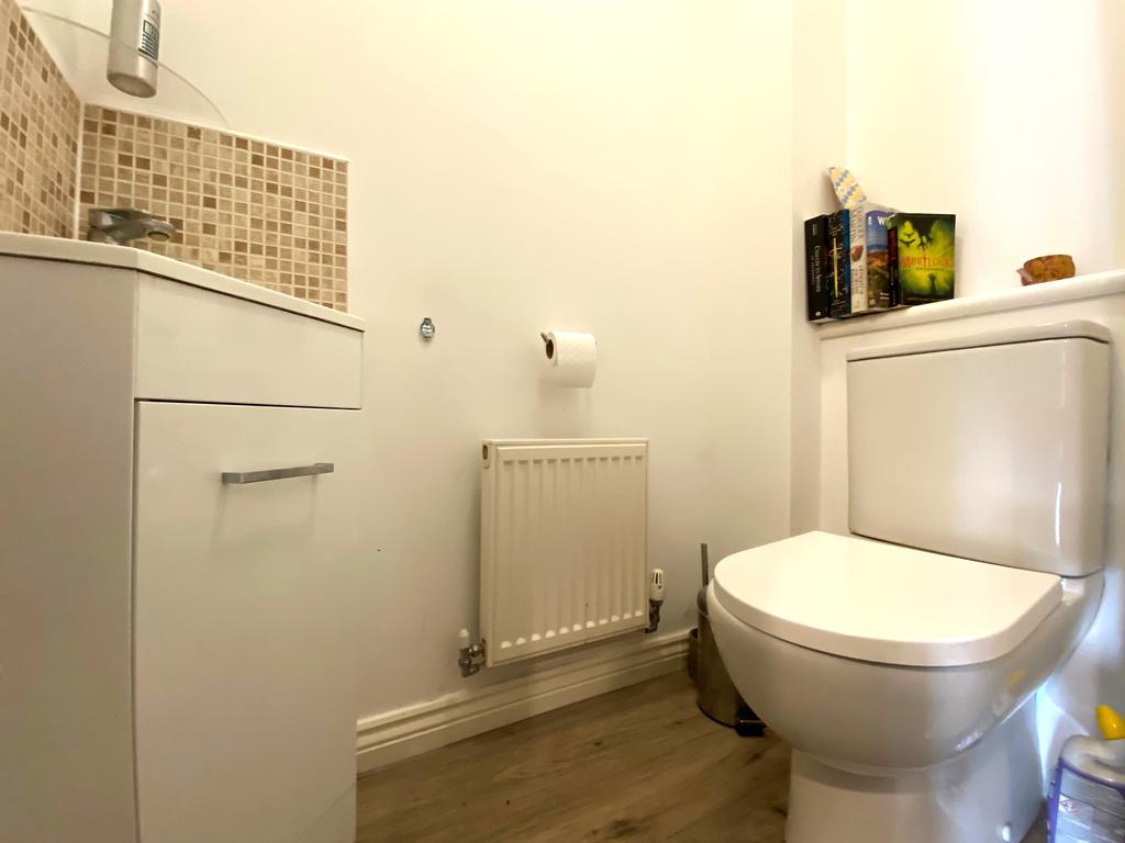 Picture 8