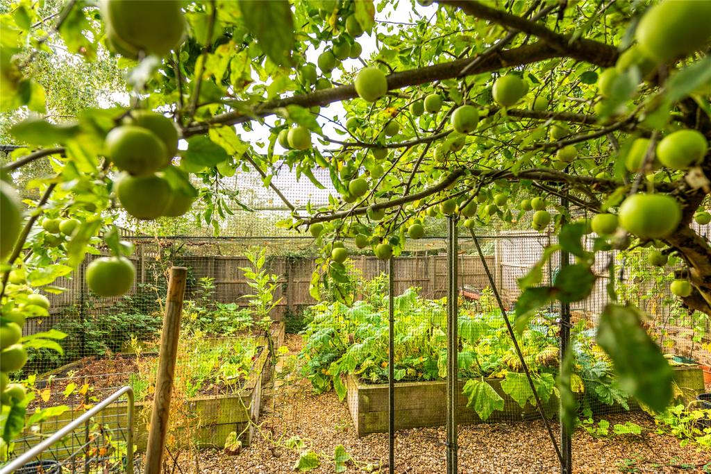 Kitchen Garden