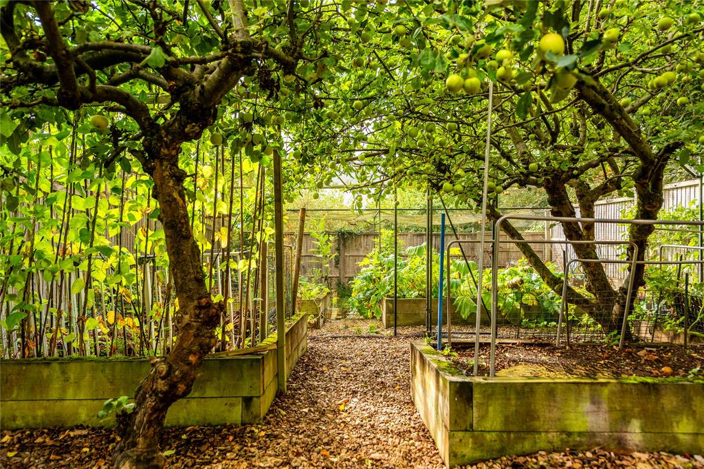Kitchen Garden