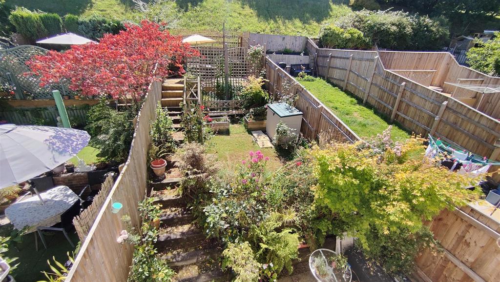 Garden in Summer