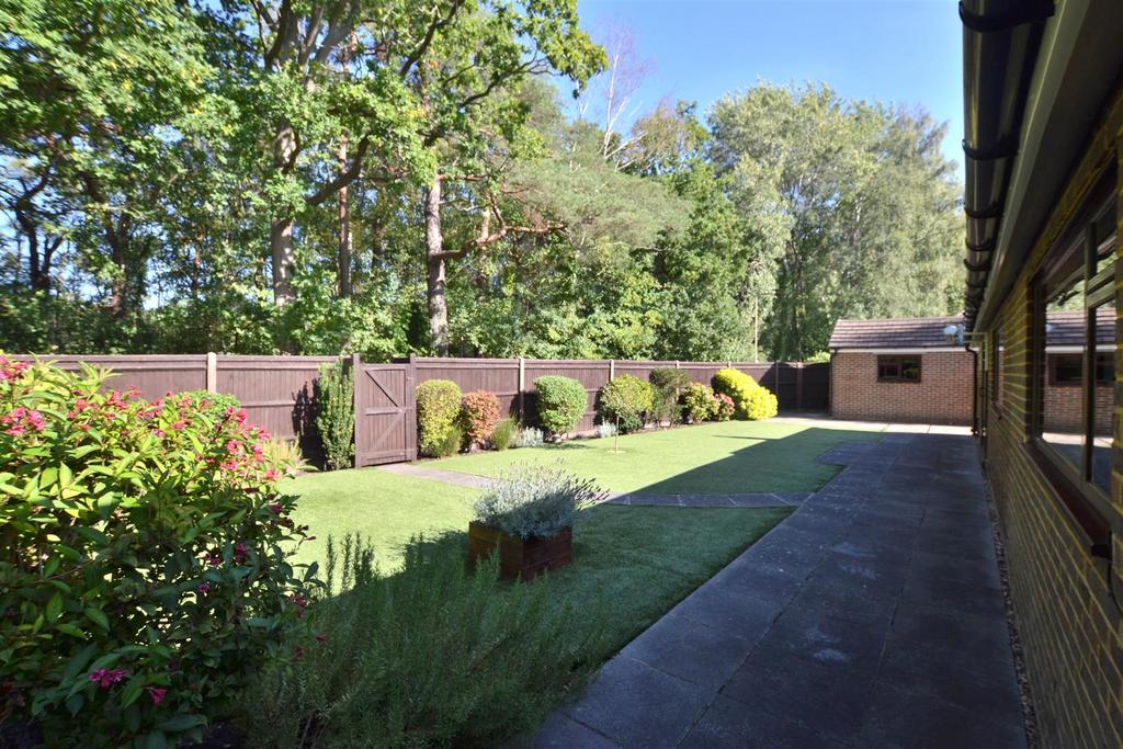 Garden 1.JPG