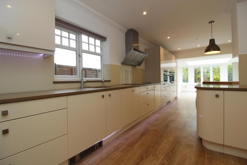 Kitchen View 2