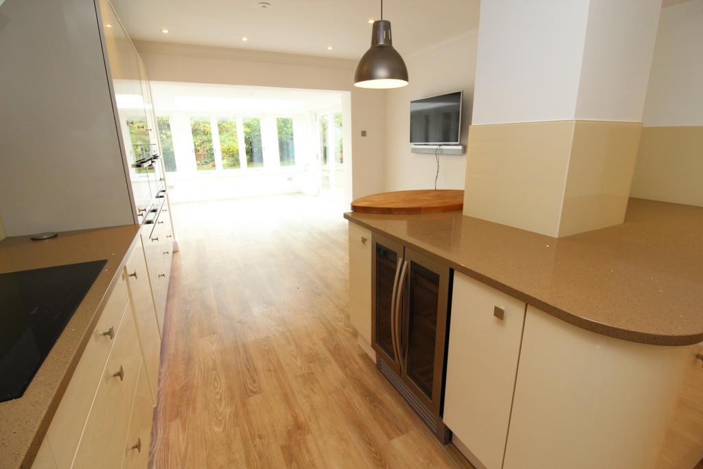 Kitchen View 3