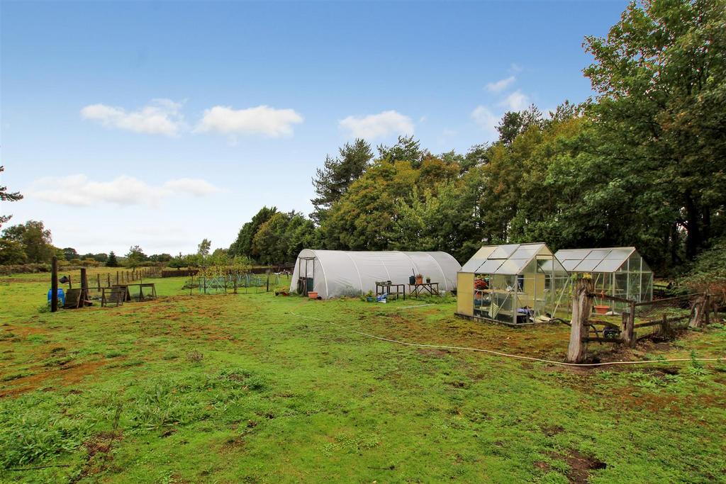 Poly Tunnel & Greenhouses.JPG