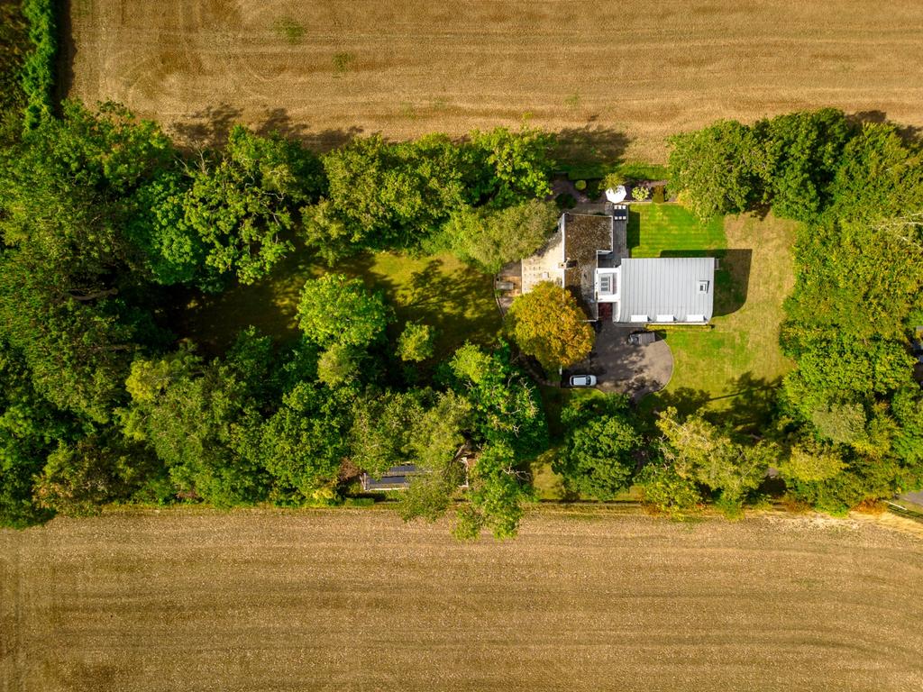 Aerial view of garden