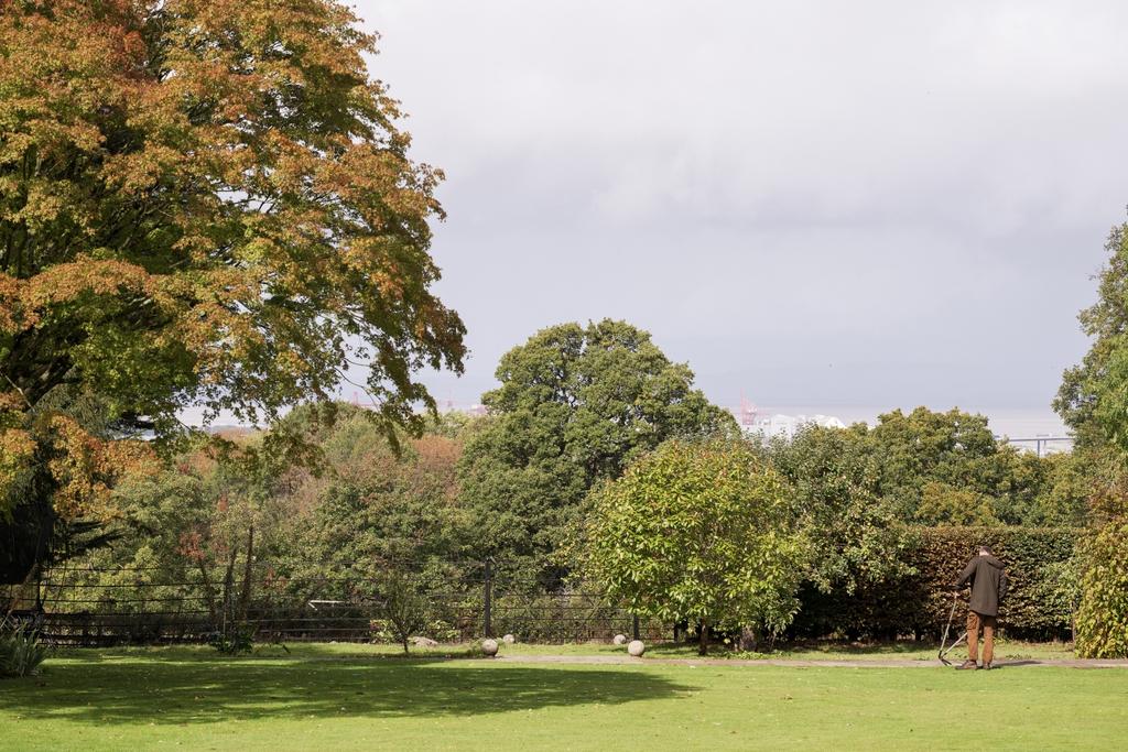 An acre of garden
