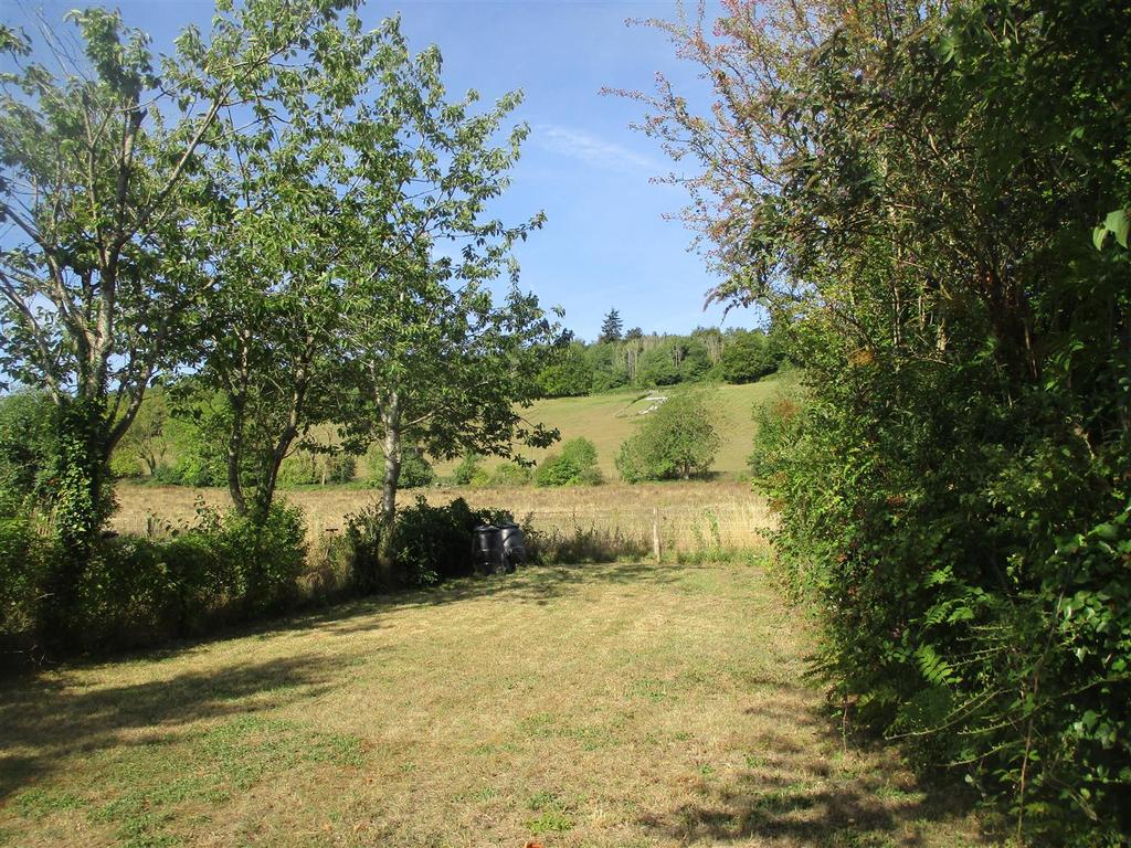 Img 4415.jpg