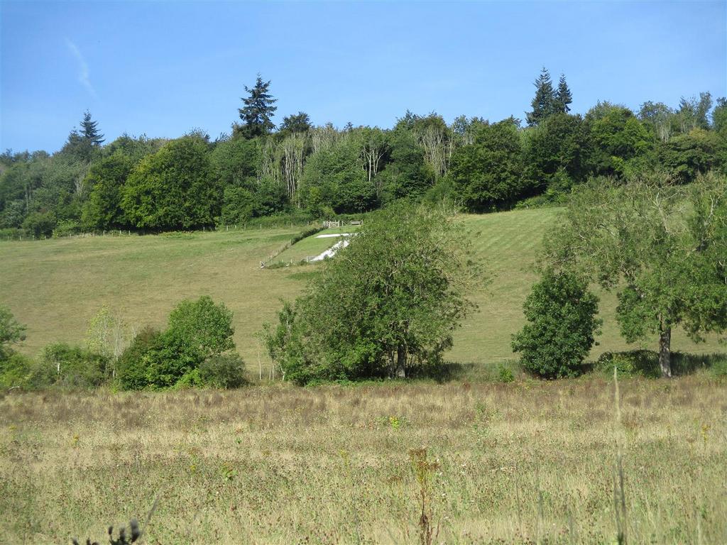 Img 4416.jpg