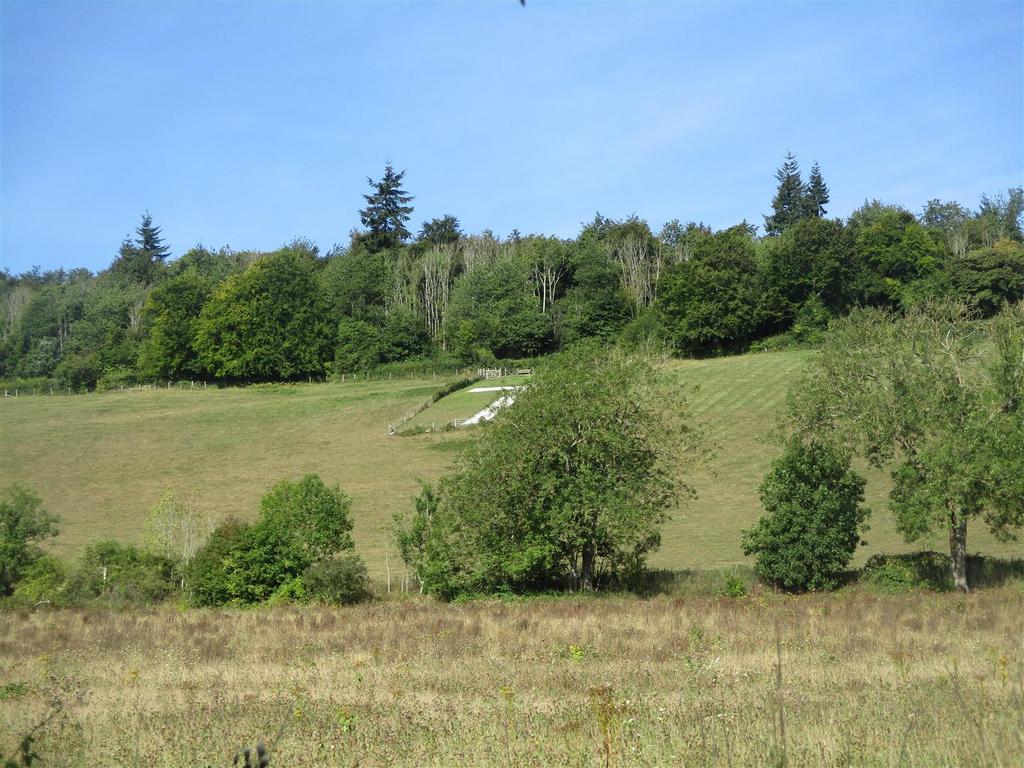 Img 4421.jpg