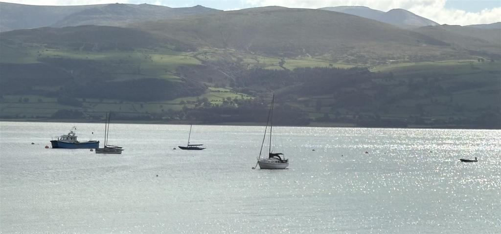View.jpg