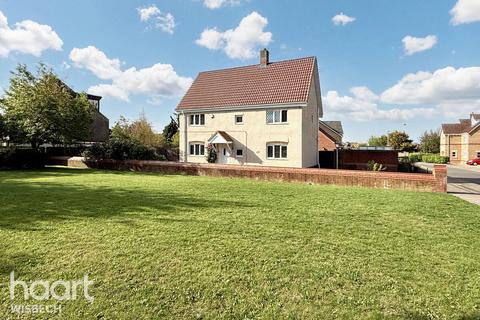 Grove Gardens, Elm