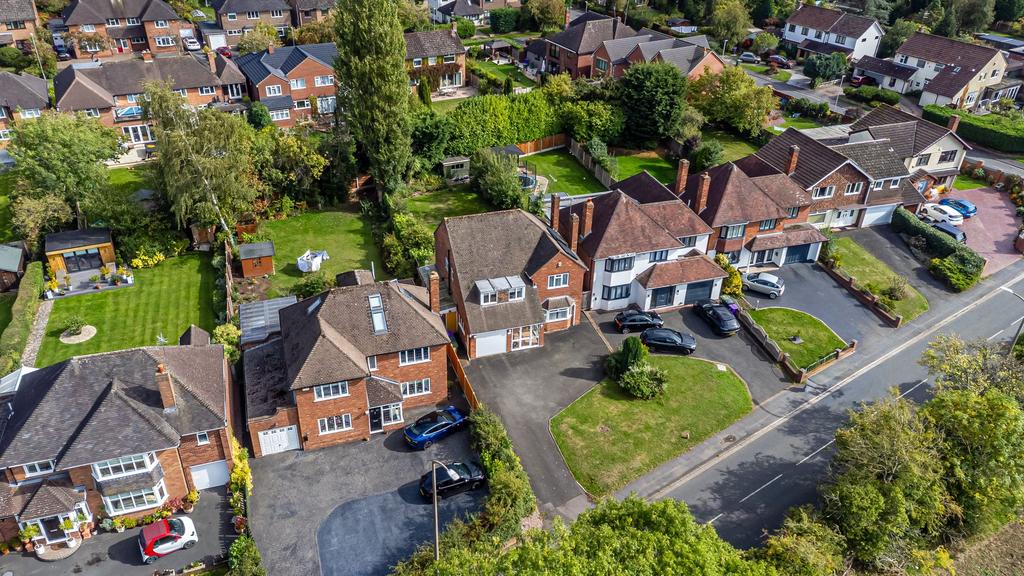 Plot View