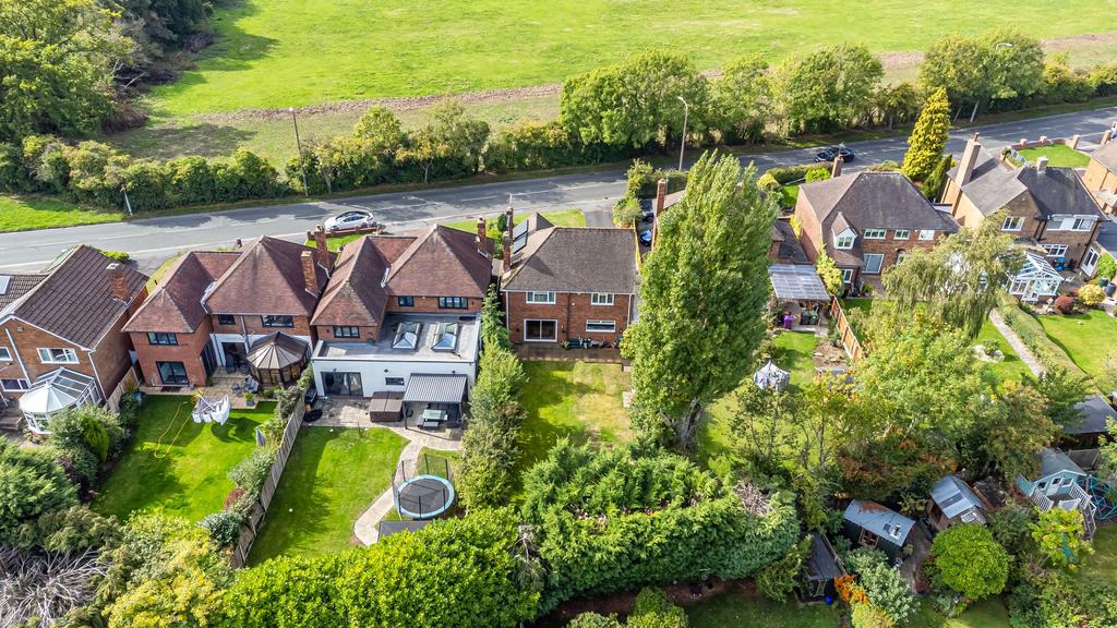Plot View