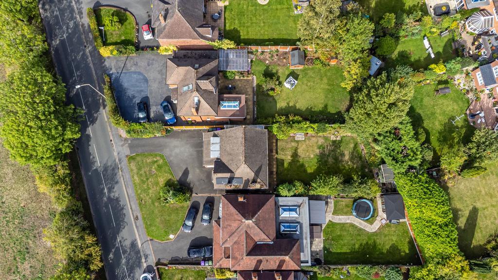 Plot View