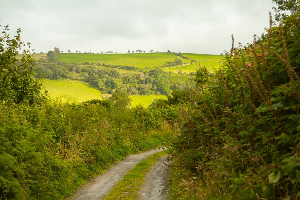177086 - inigo.pant-y-ffynnonfarm.highres-56.jpg