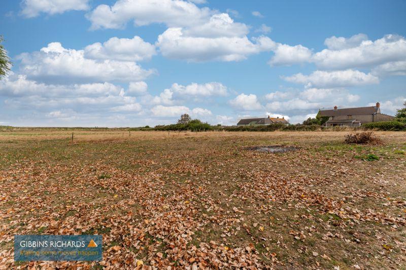 Field