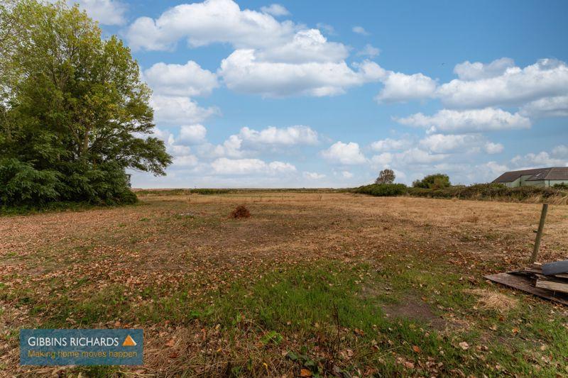 Field