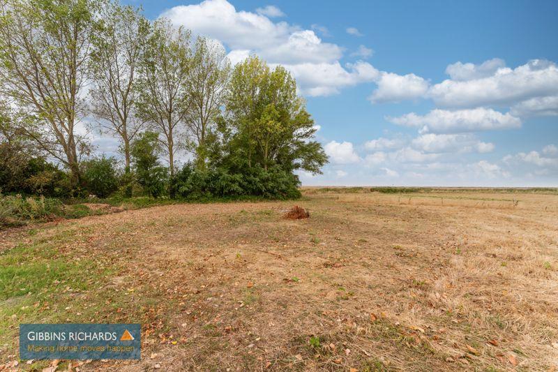Field