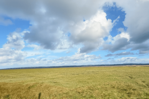 undefined, Penclawdd, SA4