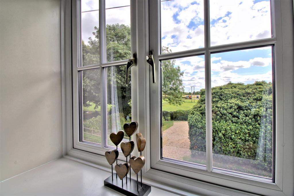 Window