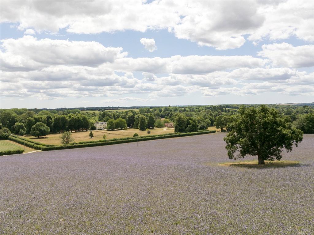 Land