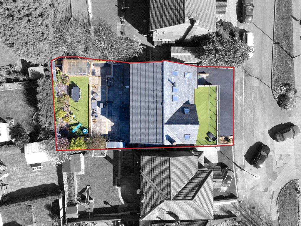 Birds Eye