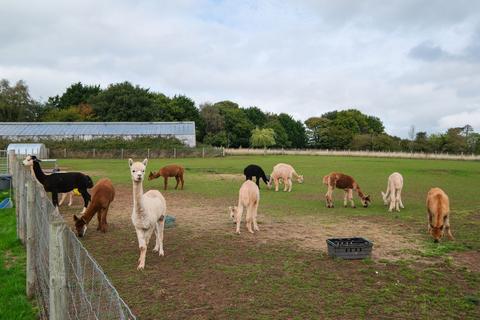 undefined, Bumble Hole Lane, Dodford, B61