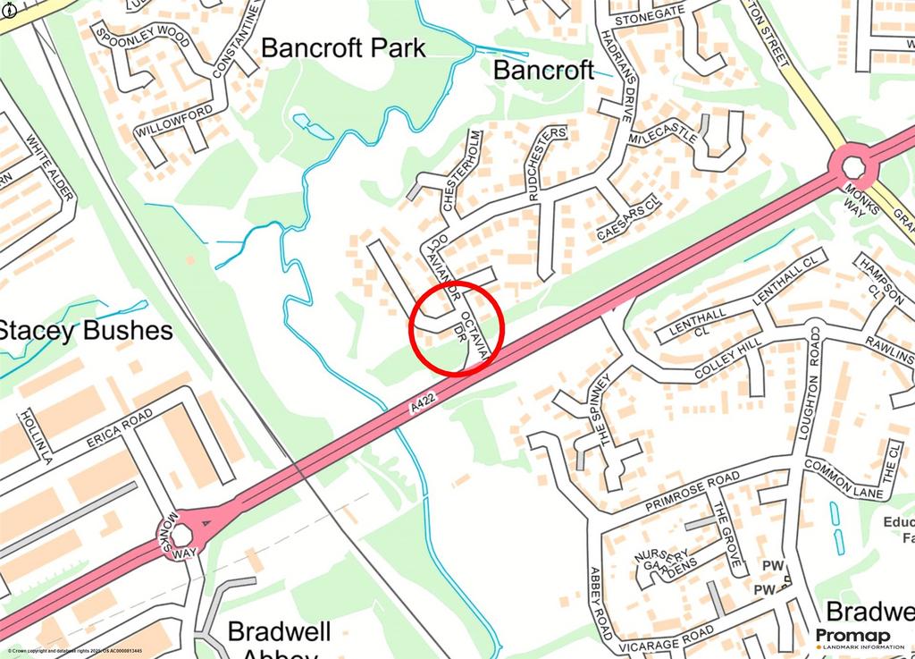 Street Map