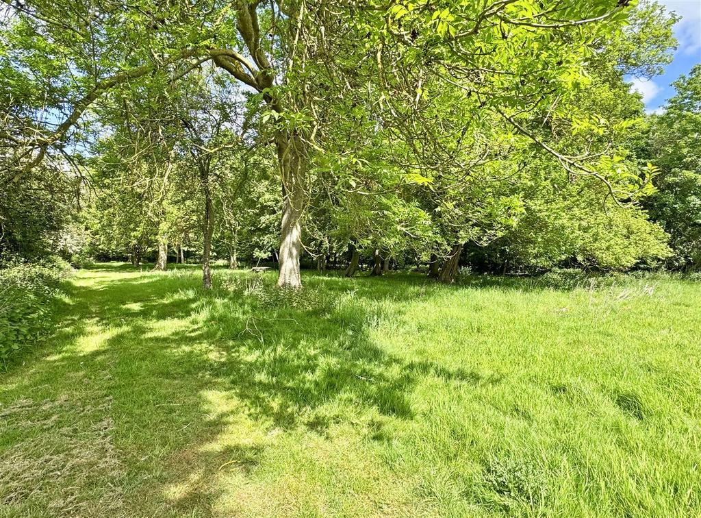 Gardens c.jpg