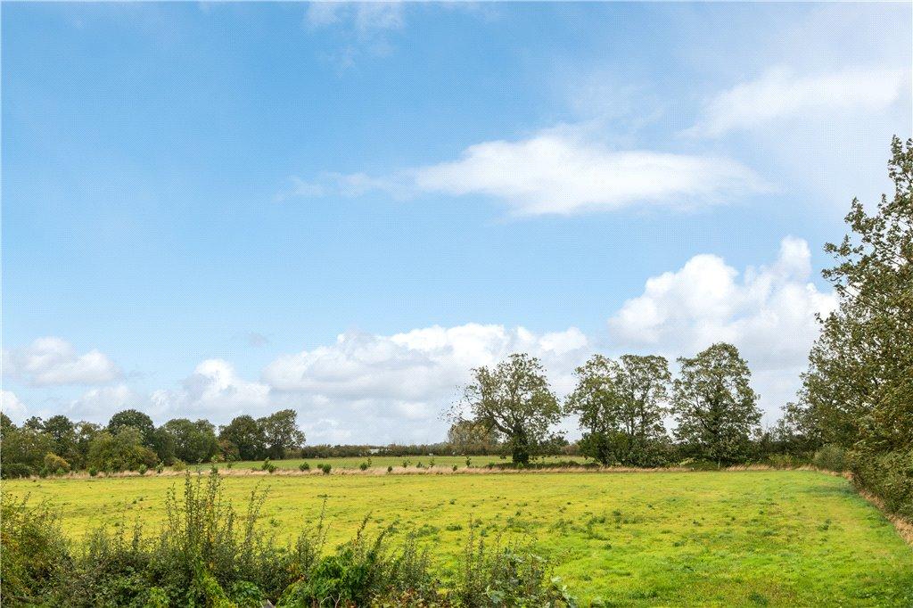 Field Views
