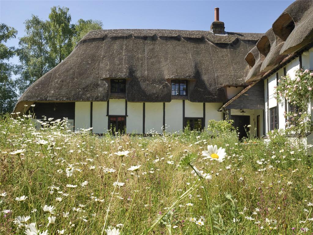 Thatch