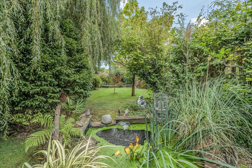 Rear garden