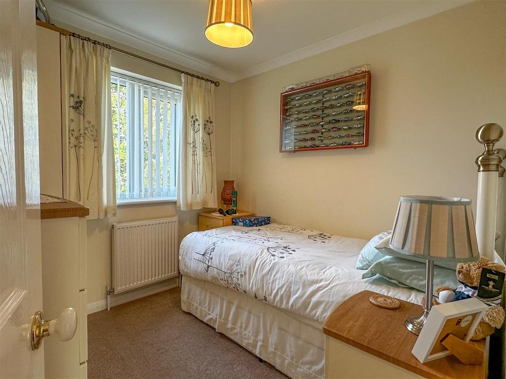 36 FE4 C32-B1 C5-4 E39-AE0 F-8 BBF2978 B6 E8.jpeg