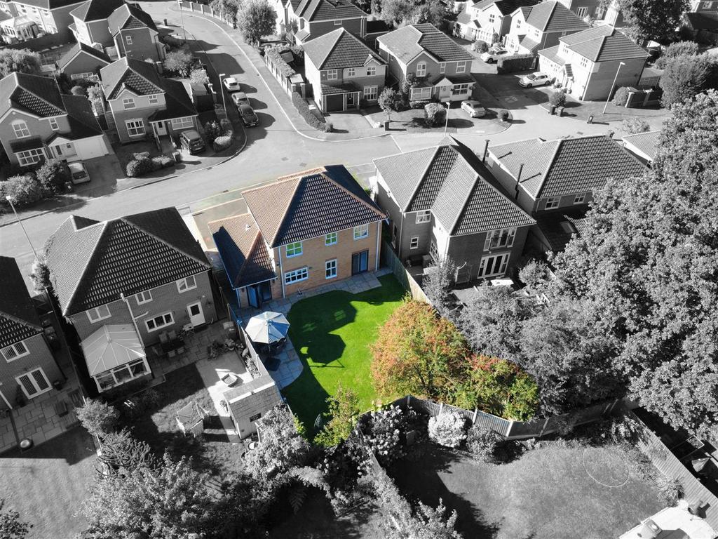 Rear Elevation