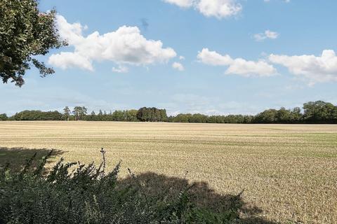 undefined, Witchampton