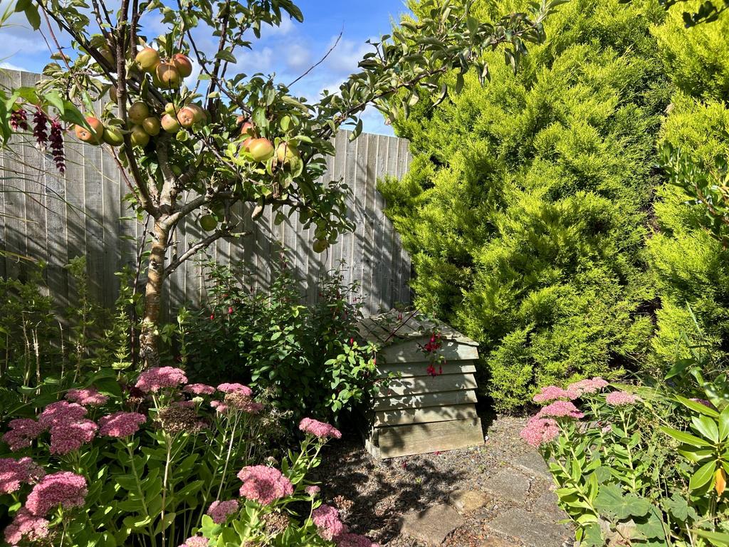 Ivy Cottage, 39 Main Street, Twynholm - Williamson