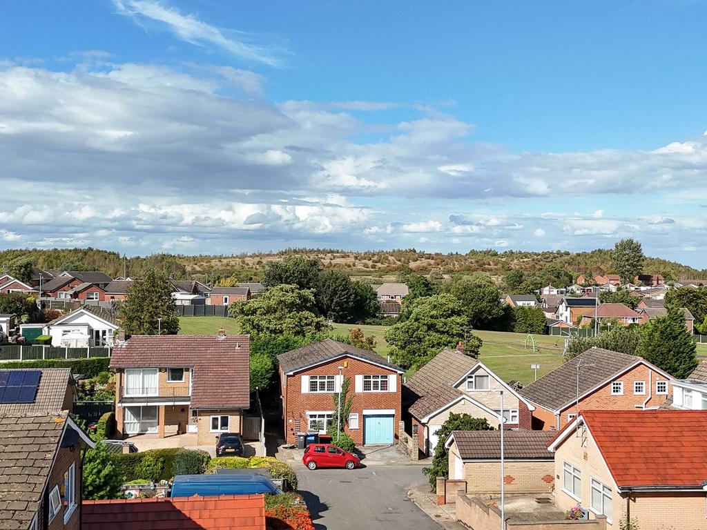 View over Brierley Forest Park