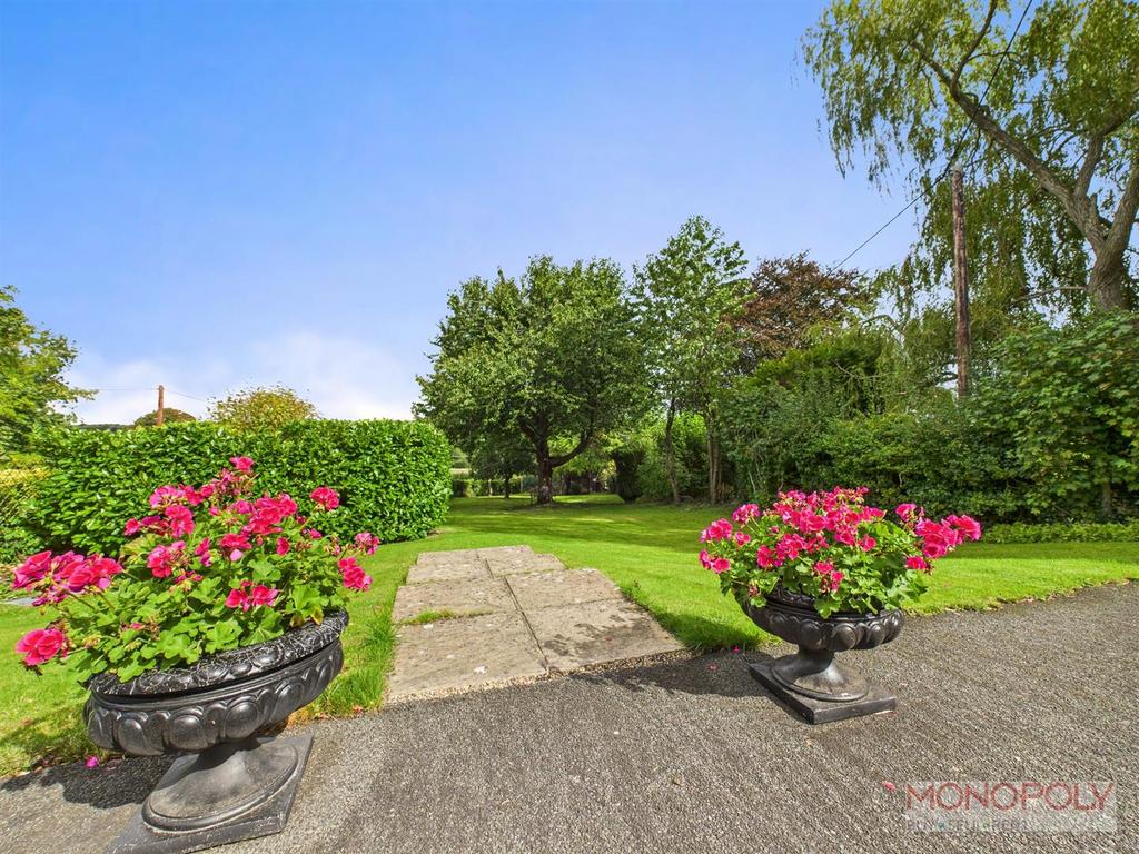 View from Patio