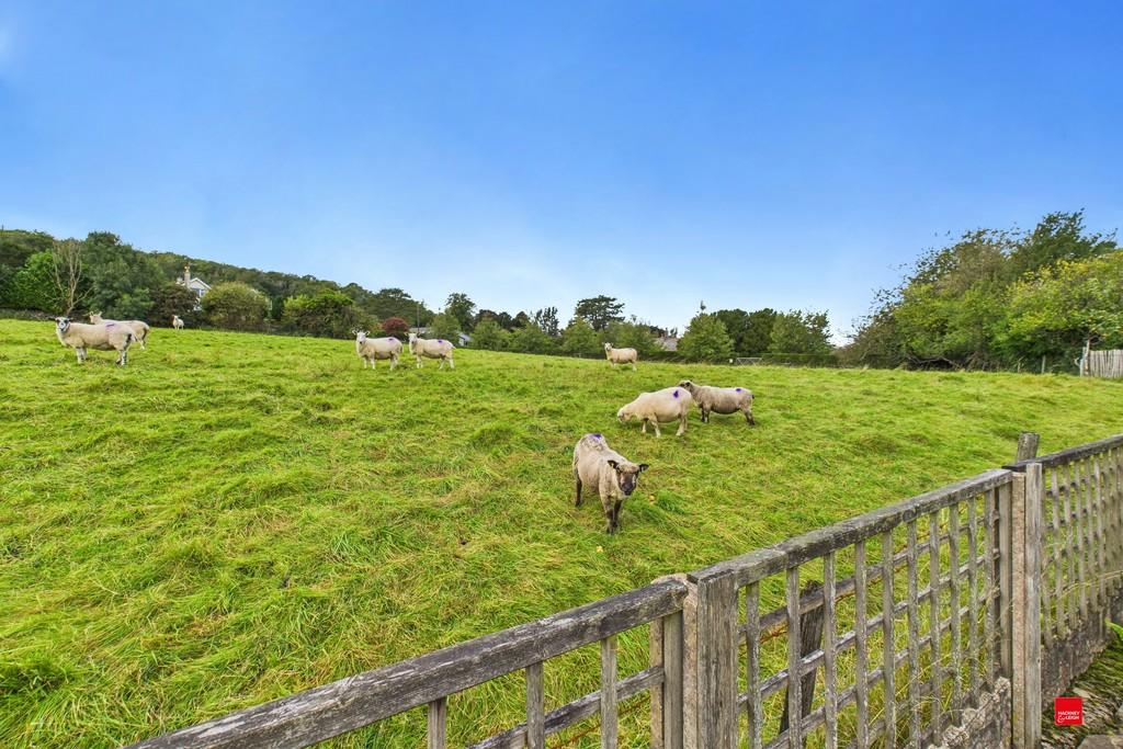 Fields Behind Hollins Lane