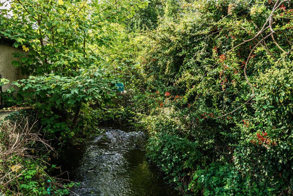 Stream on border of property