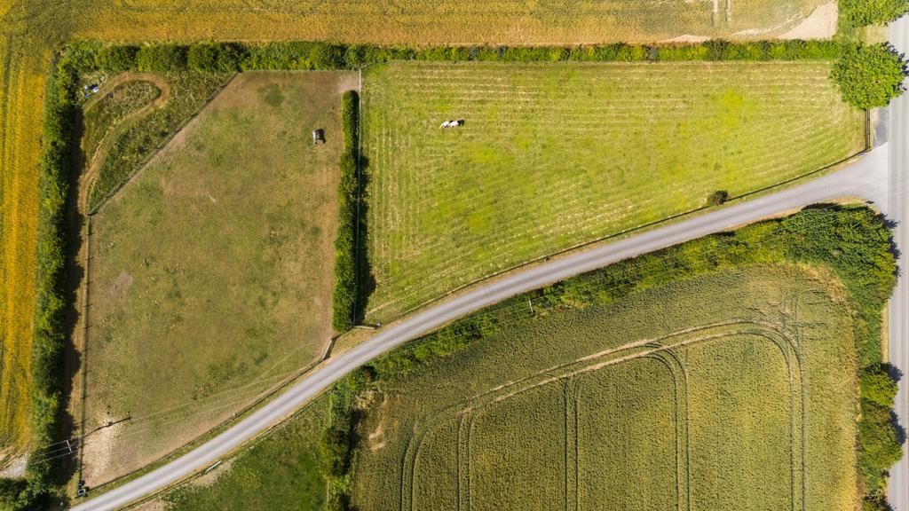 1316350-1-6866827c05531-ARW (1)